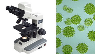 Axmatic-Microscope-Algae_resize